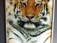 фотопечать